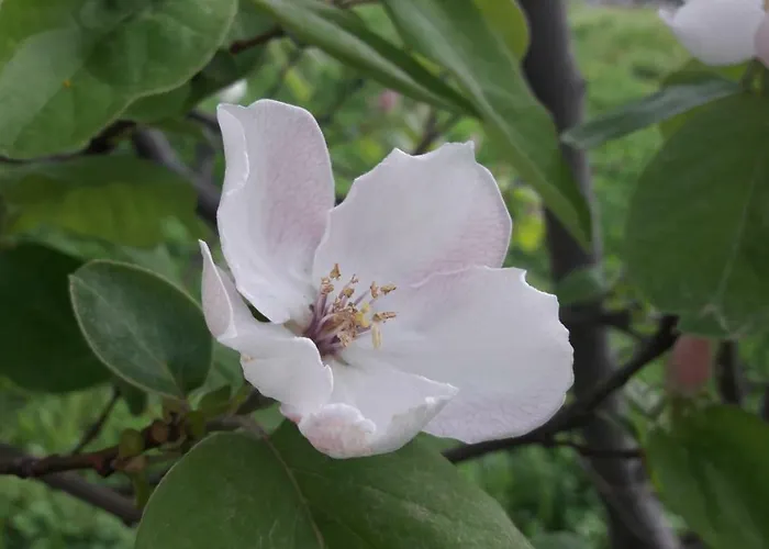 New Cosy With Private Parking Opatija