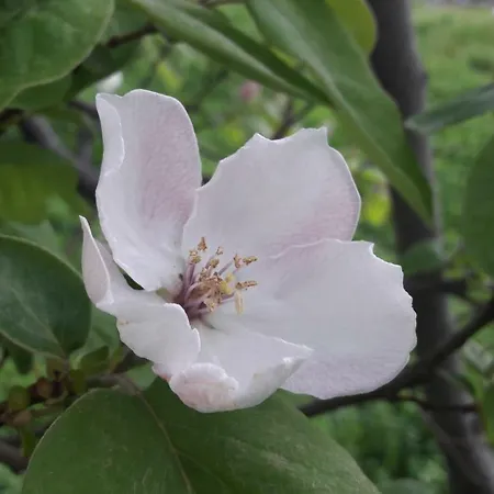 New Cosy With Private Parking 奥帕提亚